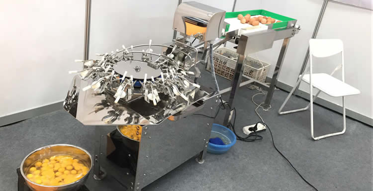 全自动磕蛋机2 (2).jpg